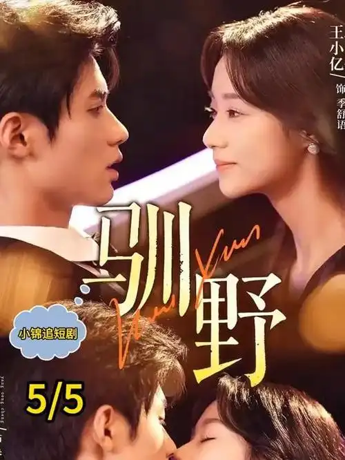 剧集夜航西塔详情弹窗封面